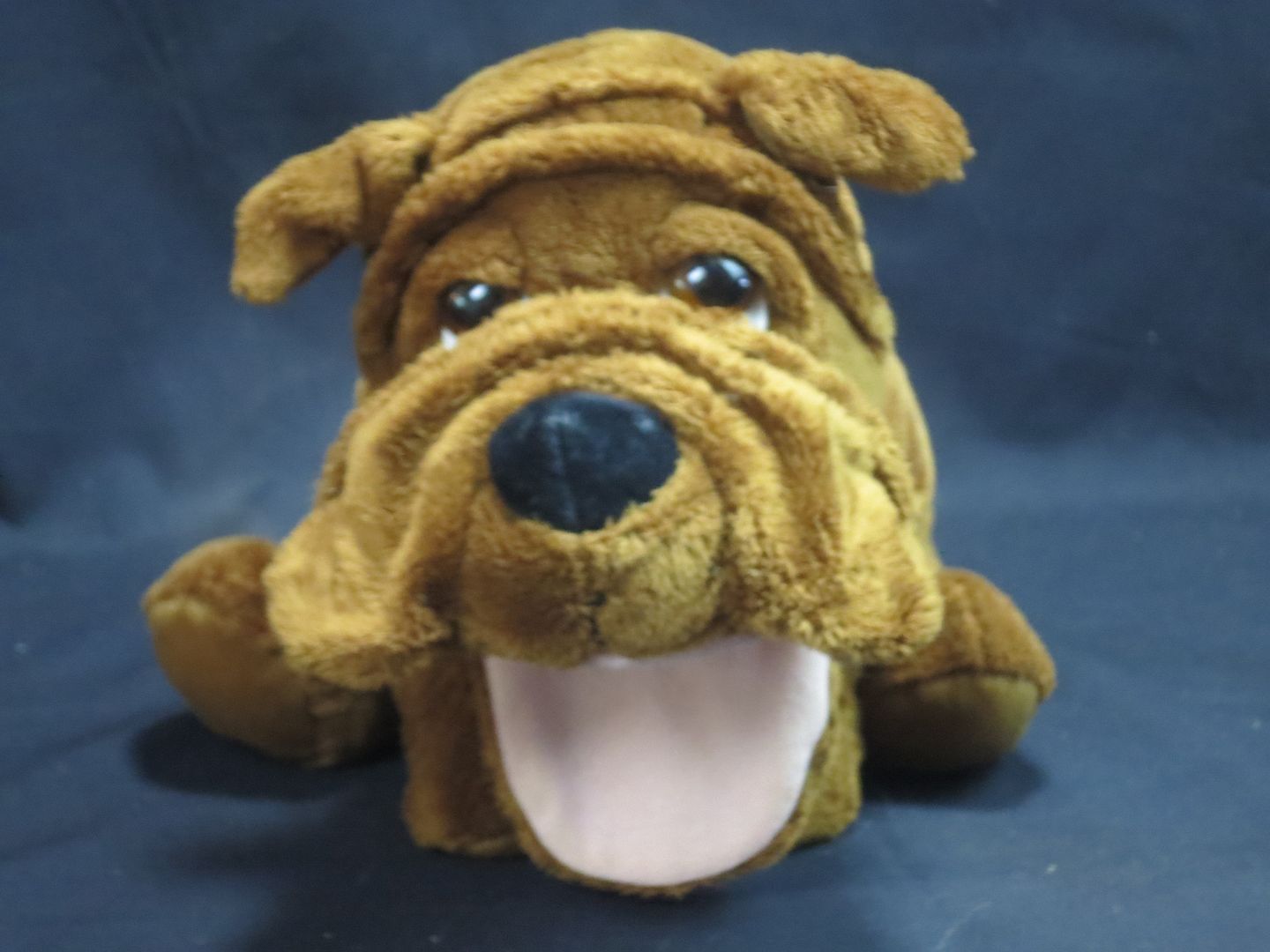 teddy brown bulldog